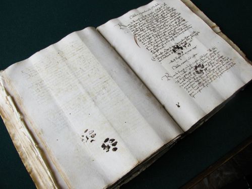 libraryoftheancients:openinkstand:Inky paw prints presumably...