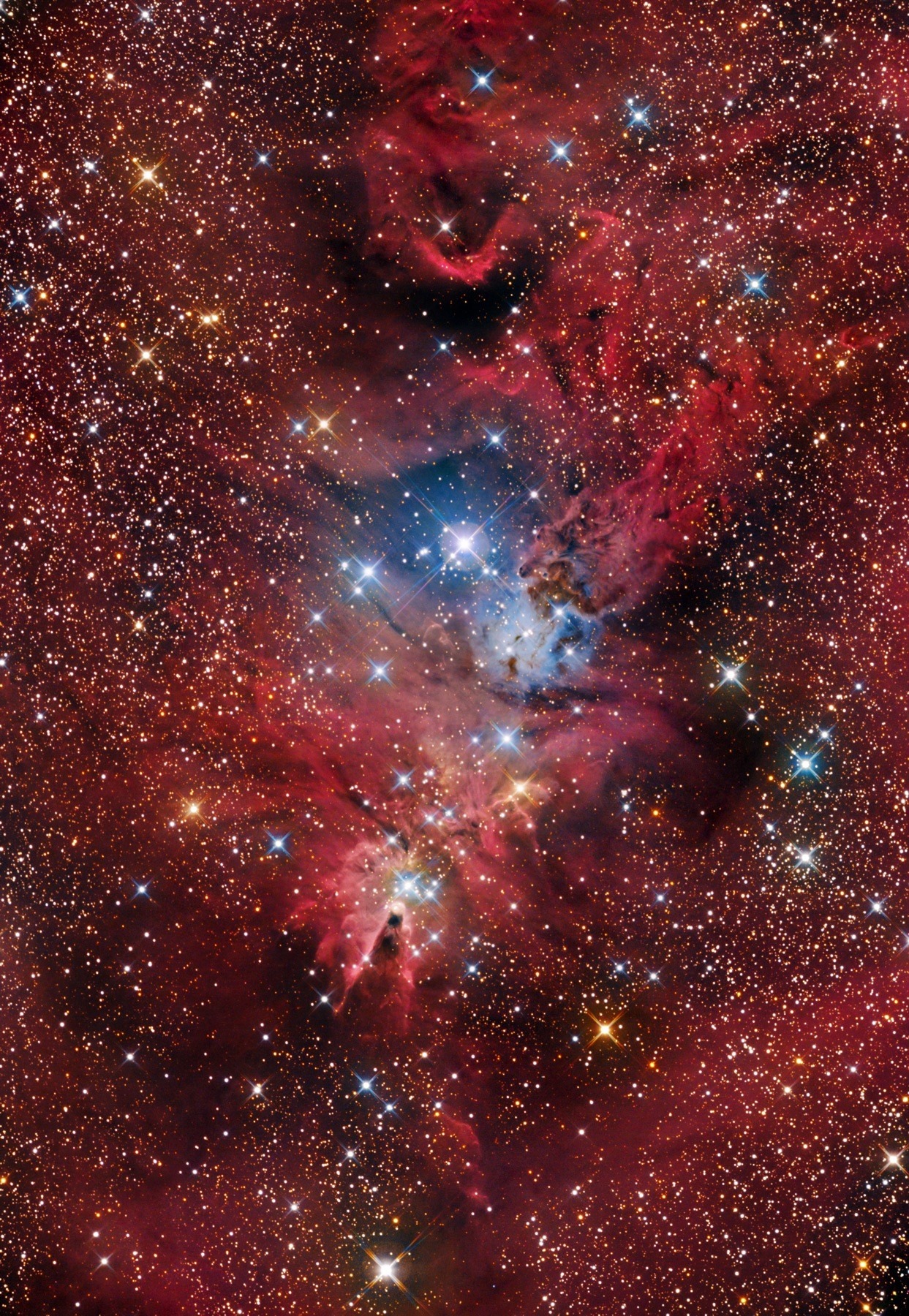 Billions And Billions - NGC 2264 (Christmas Tree Cluster And Cone ...