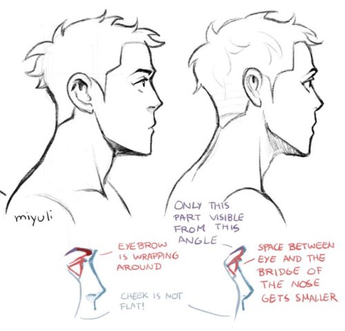 miyuliart:Some drawing tips previously posted on twitter.More...