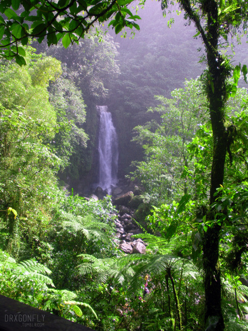 drxgonfly:Waterfall (by drxgonfly)please do not remove the...