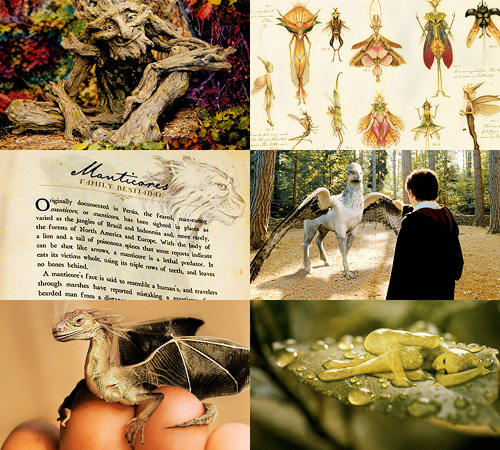 harry potter magical creatures cheap harry potter magical creatures cheap