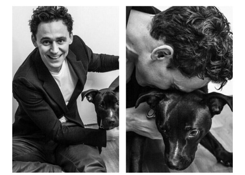 lolawashere:lolawashere:Tom Hiddleston and interacting with...