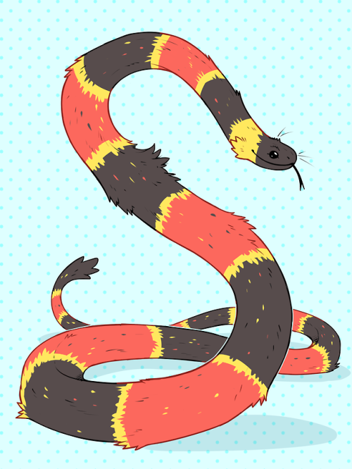 fluffy snake | Tumblr