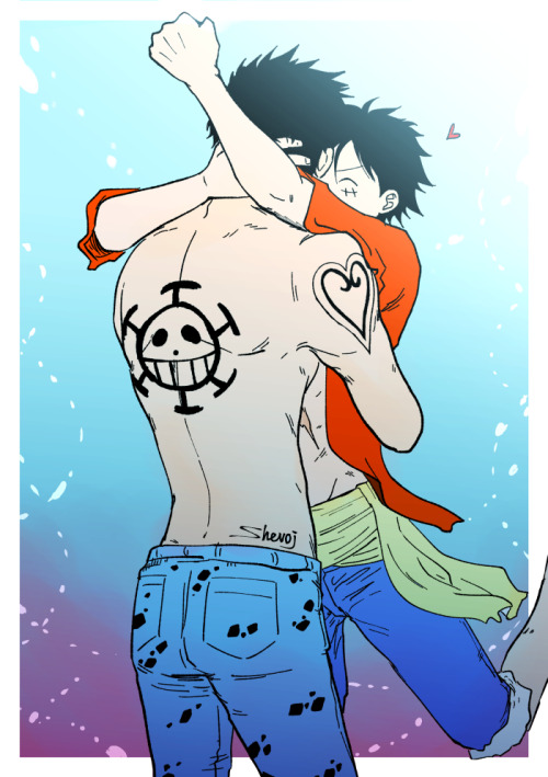 law x luffy on Tumblr