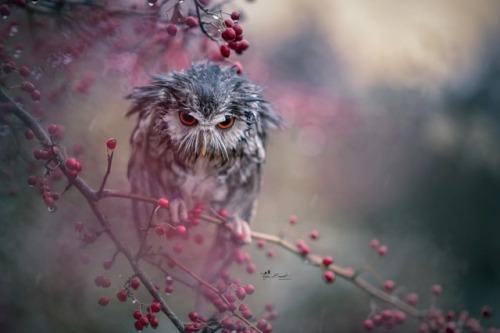 © All rights reserved by Tanja Brandt