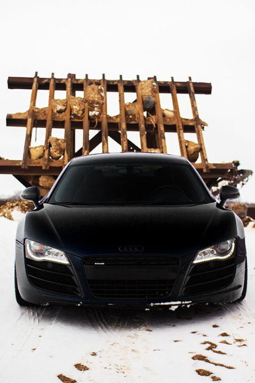 fullthrottleauto:Audi R8 (by Matthew Groner) (#FTA)