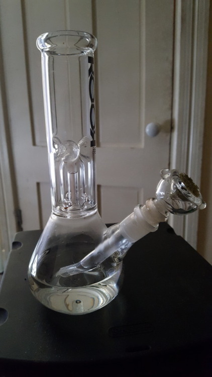 Doing bong hits today. Anyone else want in?