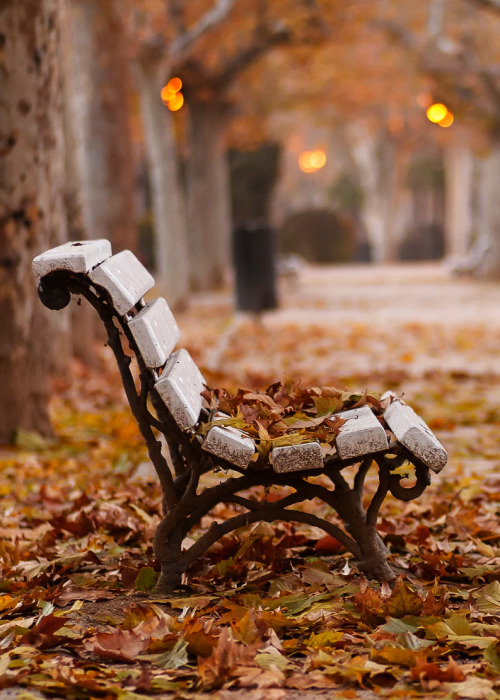 La magia del otoño - Página 7 Tumblr_oxnewaSoSJ1szm930o1_500