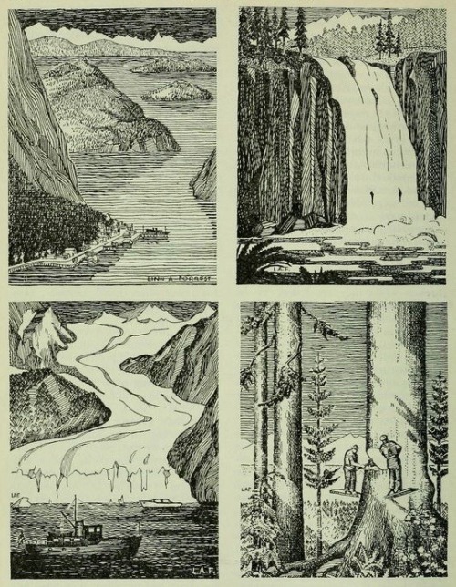 nemfrog:“Four scenes in the forests of Alaska.” Trees : the...