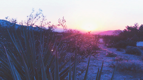 aesthetic sunrise Tumblr