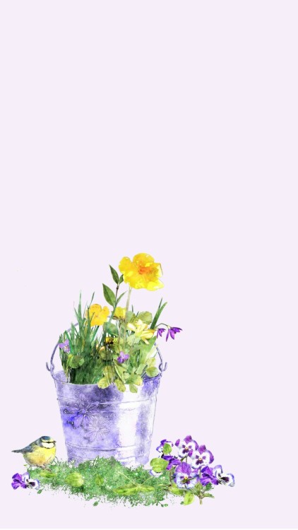 solid pastel background | Tumblr