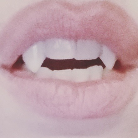 tumblr photo