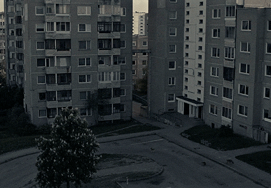 https://66.media.tumblr.com/830d50d0ed684a52e5f6849315a94f75/tumblr_pri3zmdfgP1qzwoilo6_540.gif
