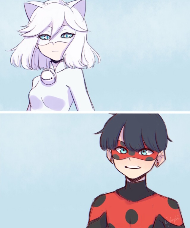 Miraculous Chat Blanc Fanart Tumblr