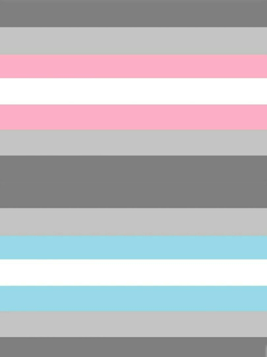 Деми бой. Демибой гендер. Демигерл флаг. Demiboy Pride Flag. Demiboy флаг.