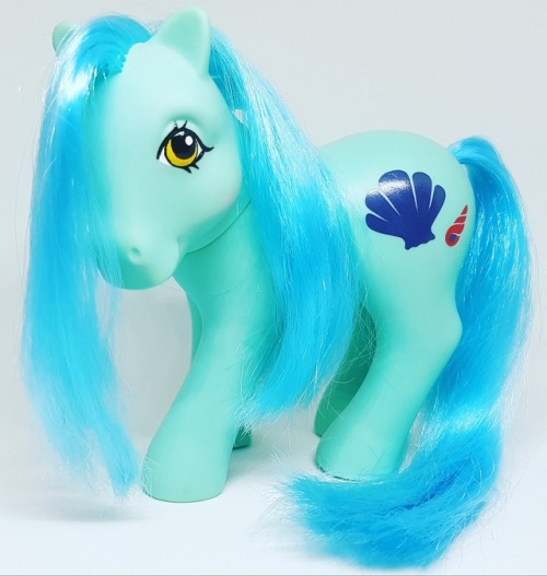 my little pony g1 seashell