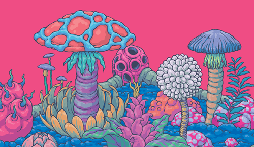 mushrooms wallpaper | Tumblr