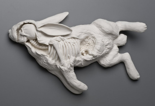 beautifulbizarremagazine:Kate MacDowell’s Honest and Haunting...