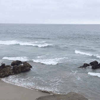 Here Have A Gif From My Summer Vacation Because Tumblr Insists That This Post Is Here Have A Gif From My Summer Vacation Because Tumblr Insists That This Post Is