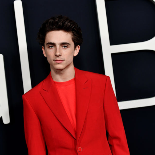 klennnik:Timothee Chalamet - premiere of ‘Beautiful Boy’,...