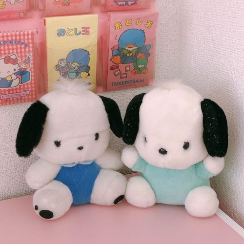 kuma chan plush