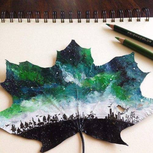 a-night-in-wonderland:Drawings on maple leaves by Joanna...