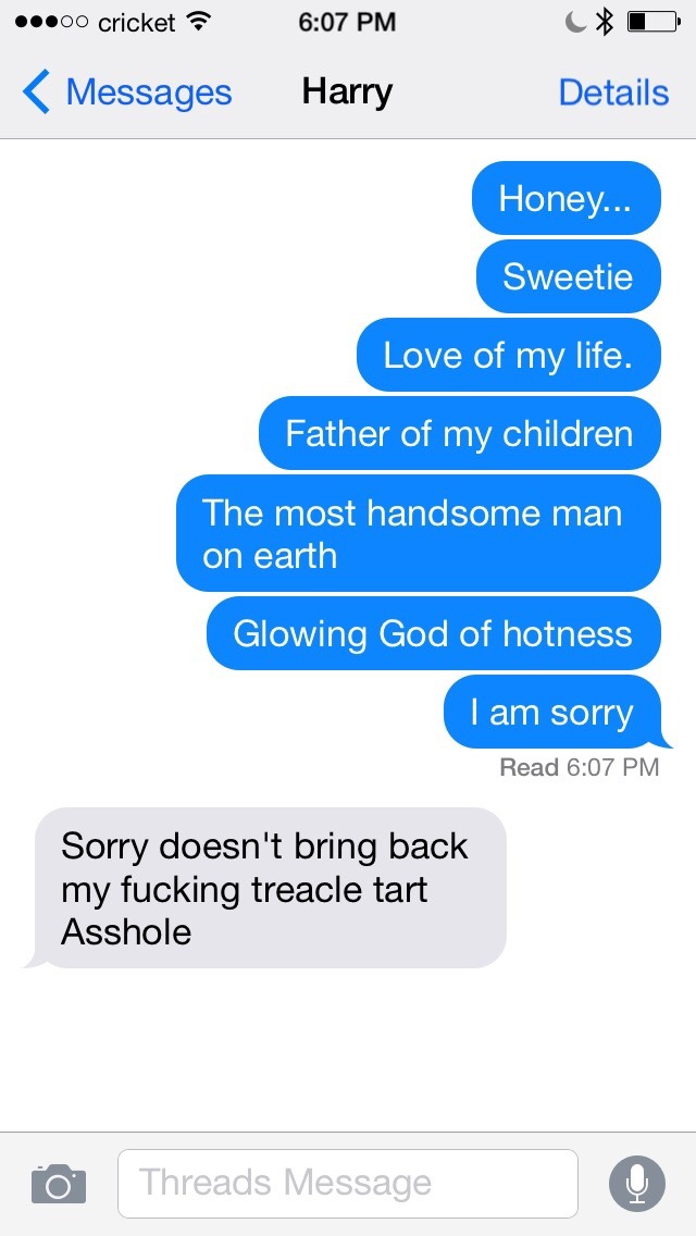 Texts from Last Night — Pregnant Harry