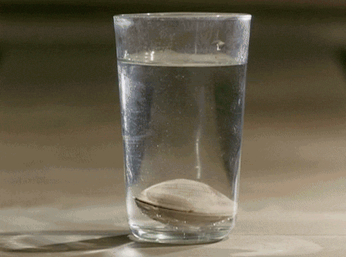 tumblr_oiy96mDmj31upy5cdo1_500.gif