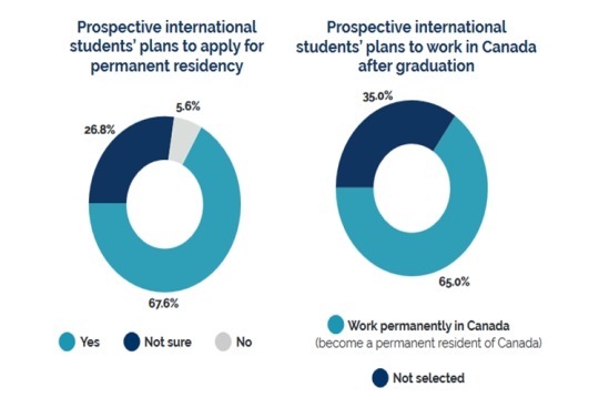 Canada Study Visa Tumblr