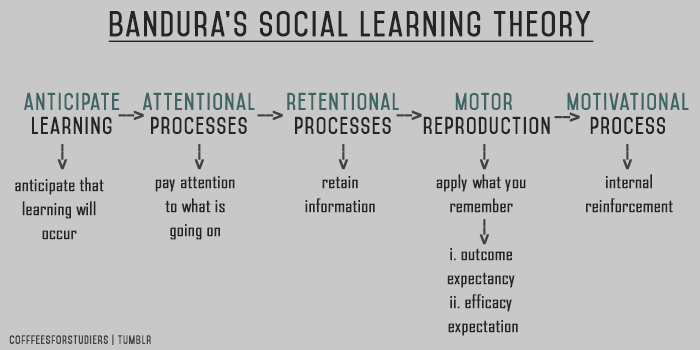 Albert Bandura Social Learning Theory Stages