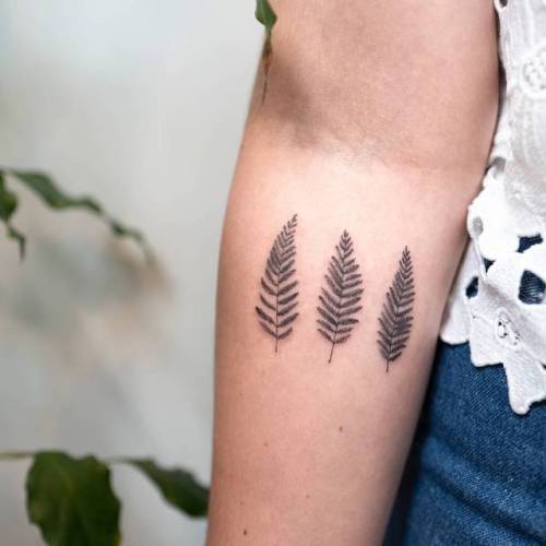 Tattoo ferns body art from nature  Fern Gardening