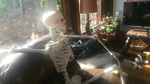 General Skeleton relaxing after filming