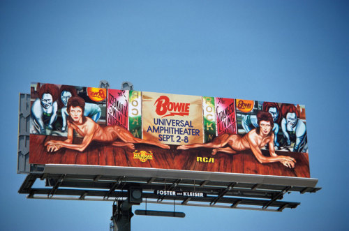 rikki-n-bucky:Can we please talk about the billboards in the...