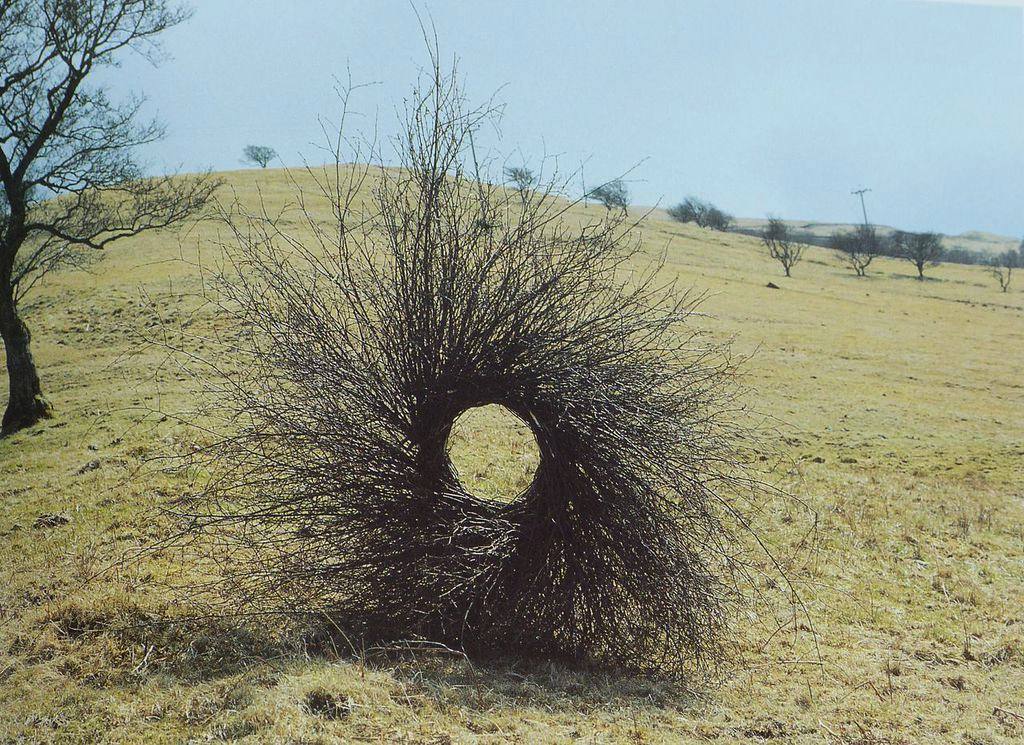 Artist Andy Goldsworthy Builds Amazing