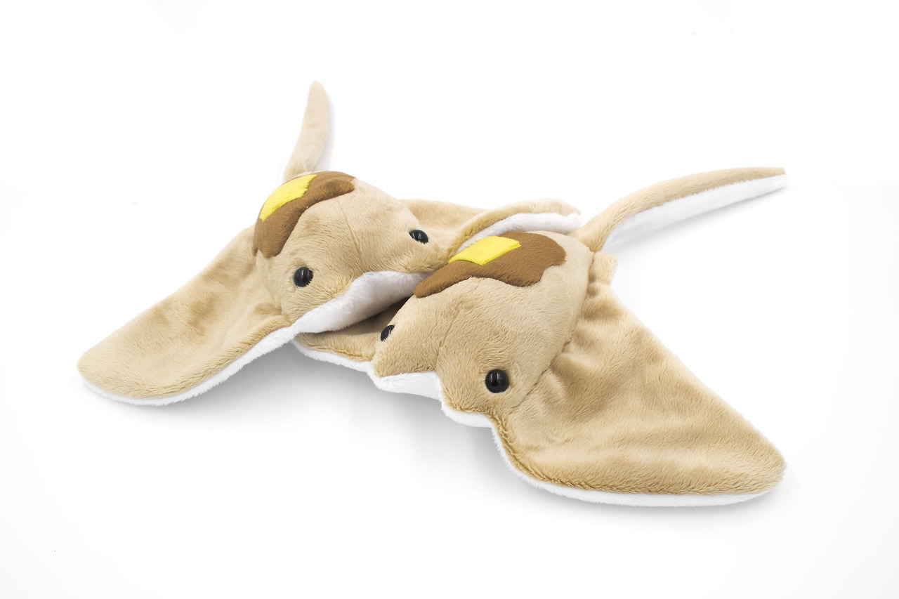 sea pancake plush