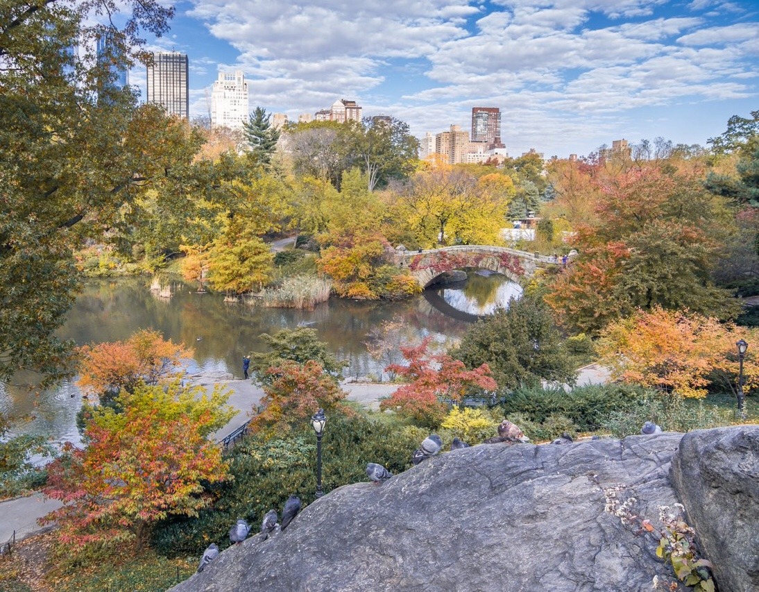 The Pond and Gapstow Bridge in Central Park by @nyclovesnyc