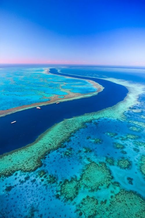 australia queensland reef earthview with google images