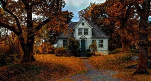 oldfarmhouse:dearAutumn/https://pinterest.com/pin/