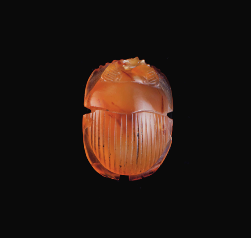 gemma-antiqua:Ancient Egyptian carnelian scarab, dated to the...