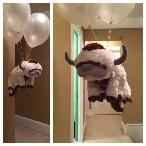 aww-cute-animals:Sky bison is best bison.