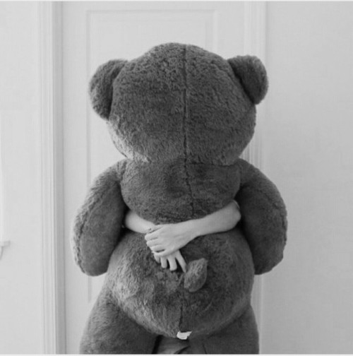 teddy bear tumblr