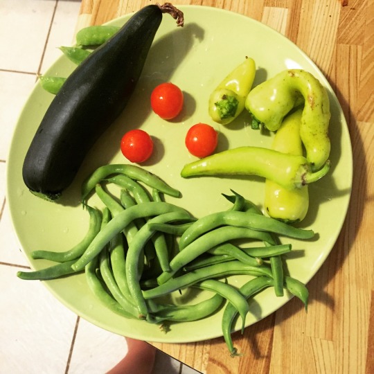 What are you eating from your garden today? - Page 31 Tumblr_oajcgcgrM11ry549vo1_540