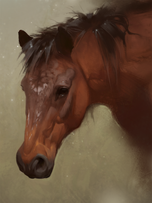 shrimpu-art