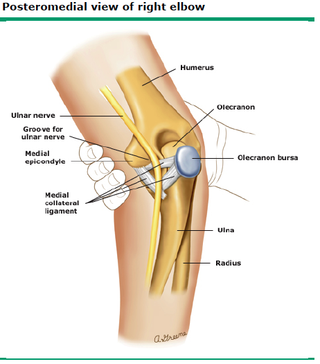 bursitis radiohumeral