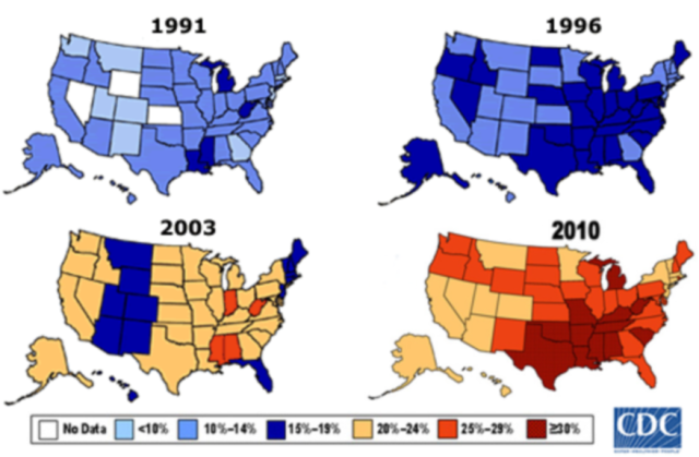 obesity-in-the-us-1991-2010-more-obesity-maps-maps-on-the-web