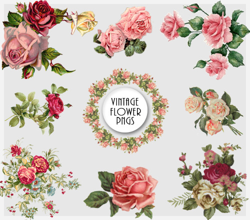 vintage flowers on Tumblr