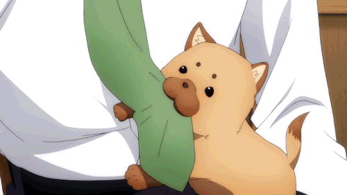 anime dog on Tumblr