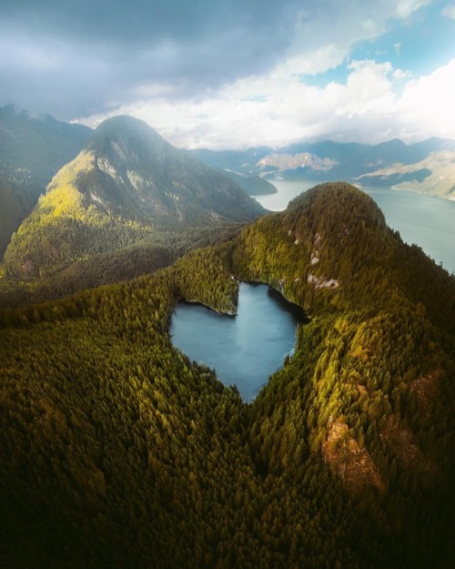 naturenestd:#ForestFridayComment heart emojis below if you ❤️...