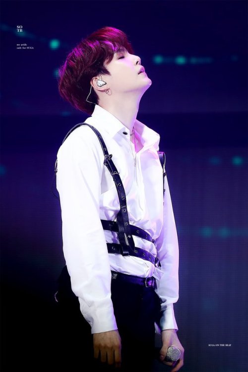 weishenbwi:BTS in harnesses: Yoongi 