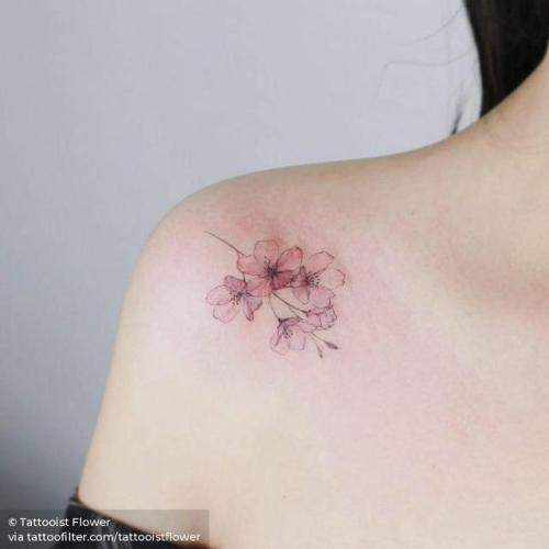 By Tattooist Flower, done in Seoul. http://ttoo.co/p/189996 flower;small;cherry blossom;spring;tiny;ifttt;little;nature;shoulder;tattooistflower;four season;sketch work